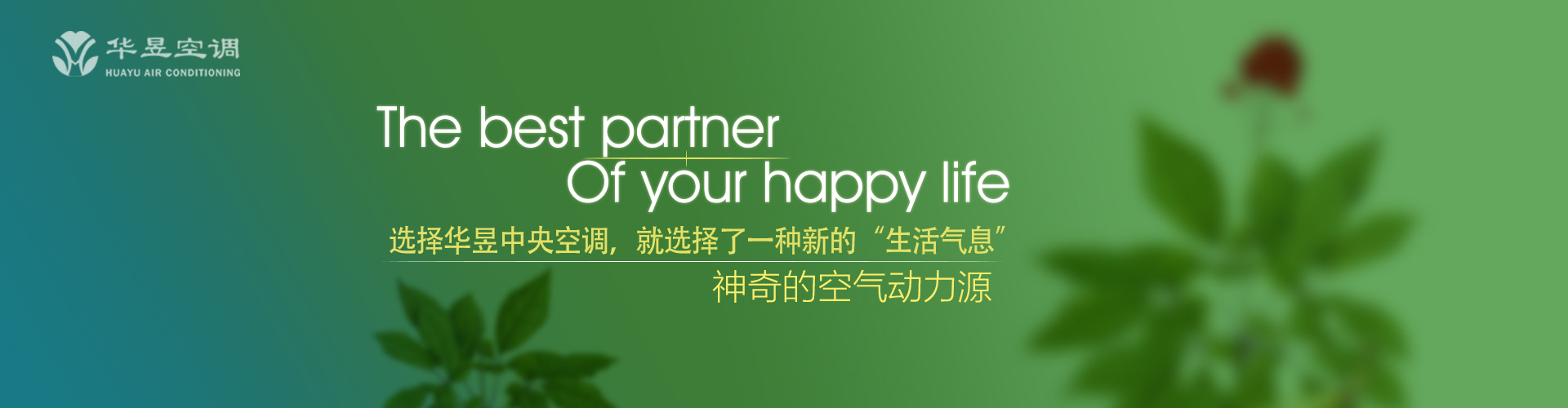 蛾眉皓齿网